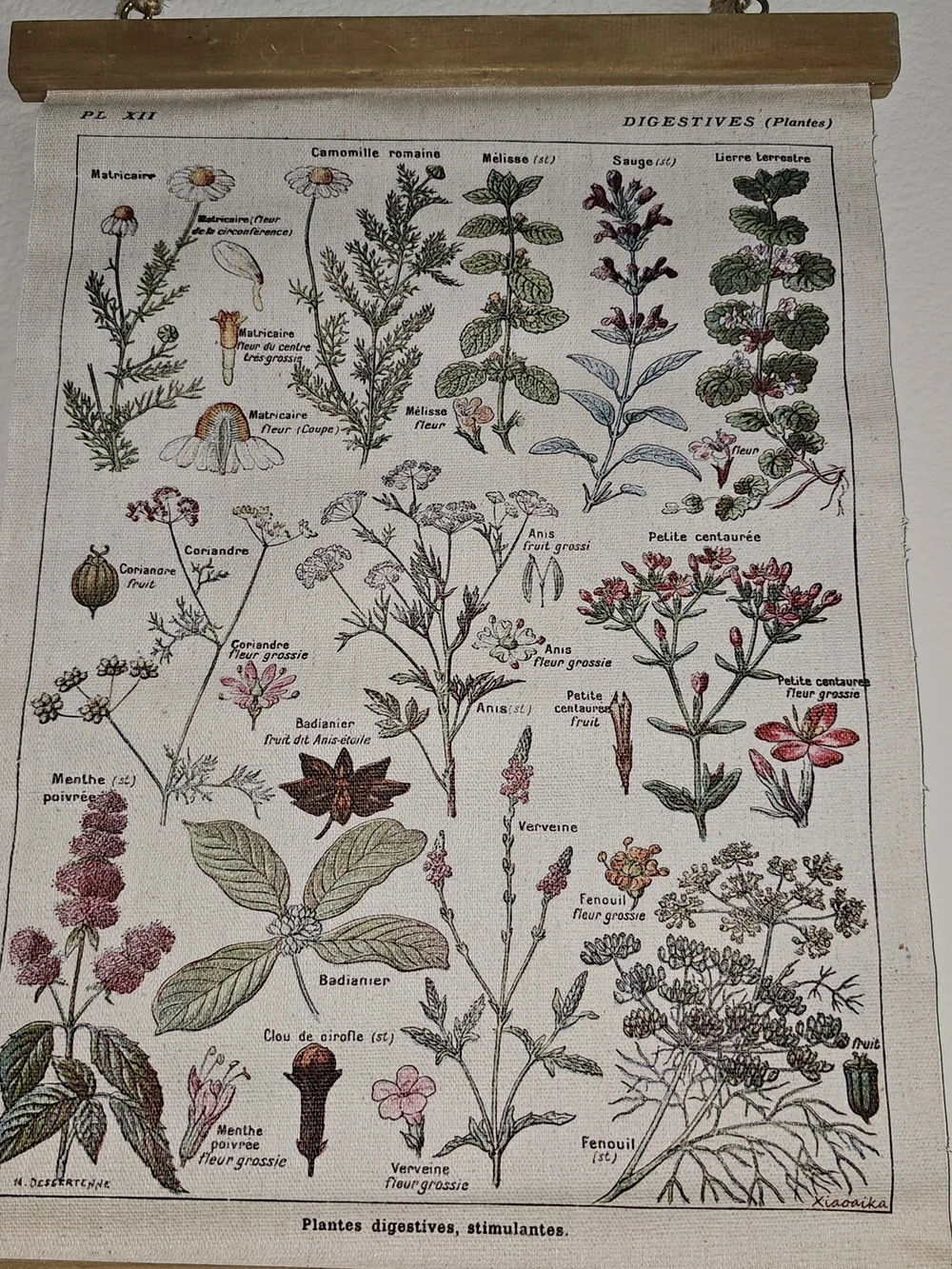 NWOT Botanical Herb Chart Wall Hanging - Beige & Green